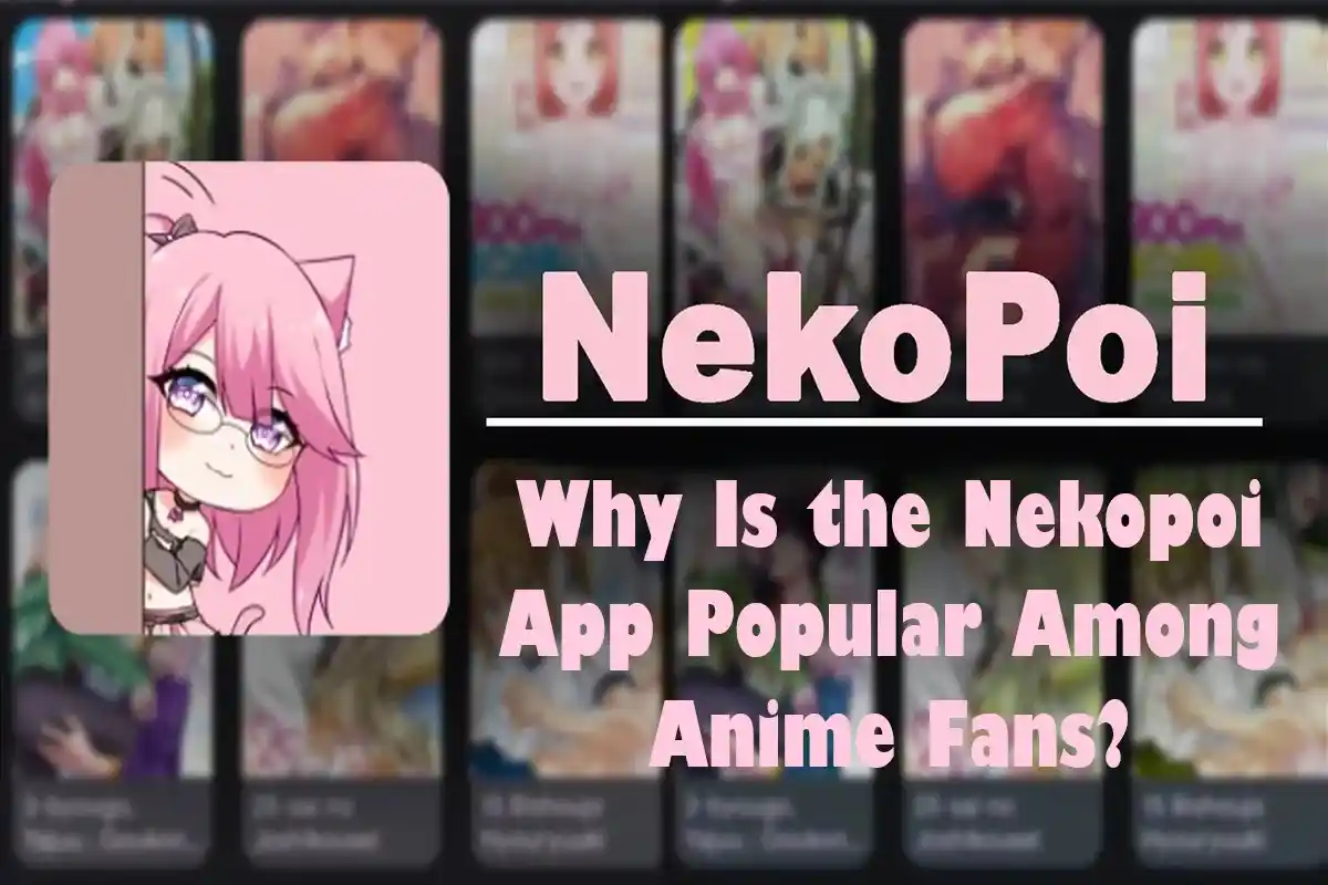 Why Is the Nekopoi App Popular Among Anime Fans?